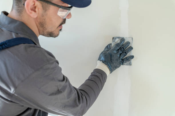 Reliable St Francis, MN Dry wall and painting Solutions